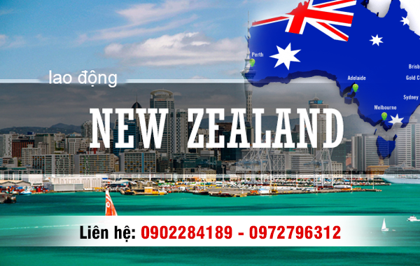 Các Ngành Nghề Có Bằng Cấp Và Ngoại Ngữ Chuẩn New Zealand Đang Tuyển Dụng Nhiều Nhất