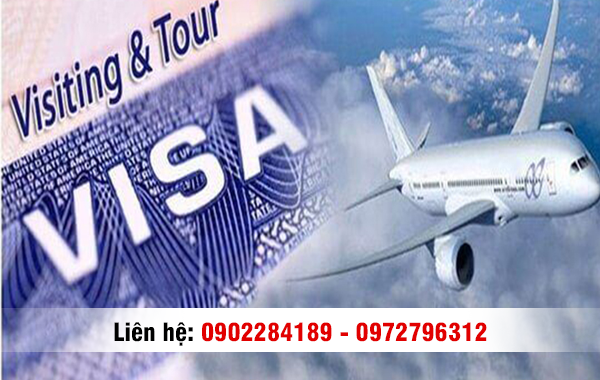 Điều Kiện Và Quyền Lợi Của Đương Đơn Khi Xin Các Loại Visa Định Cư New Zealand Thông Thường