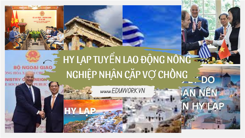 Tuyển Dụng Nam Nữ Đi Lao Động Tại Hy Lạp Làm Việc Tại Trang  Trại Râu Tây Nhận Cả Cặp Vợ Chồng