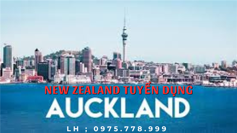 Tuyển Lao Động Phụ Bếp Và Đầu Bếp Làm Việc Tại New Zealand