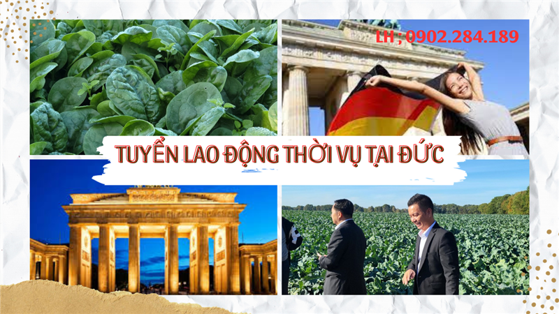 Tuyển Lao Động Nam Nữ Thời Vụ Nghề Nông Nghiệp 3 Tháng Tại Đức