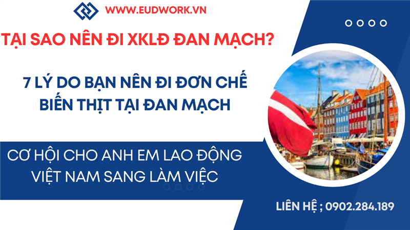 7 Lý Do Bạn Nên Đi Xuất Khẩu Lao Động Tại Đan Mạch 