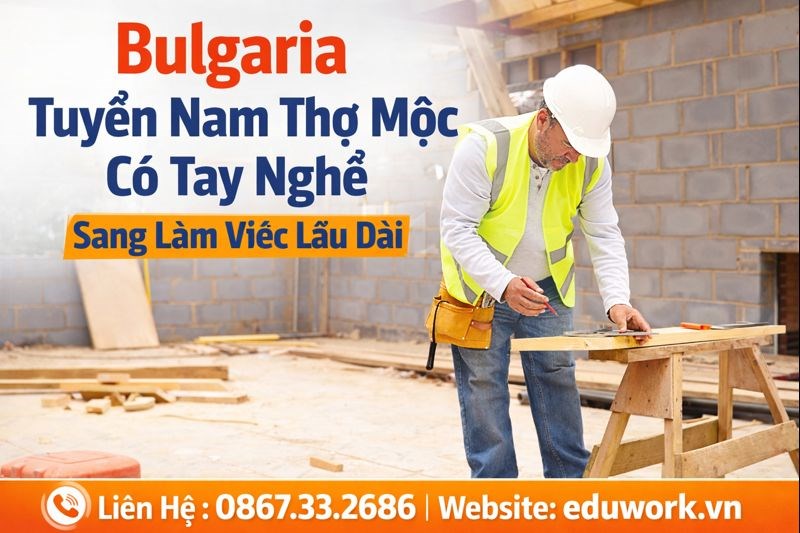 Xuất Khẩu Lao Động Bulgaria Năm 2026 Tuyển Nam Thợ Mộc Làm Việc Lâu Dài