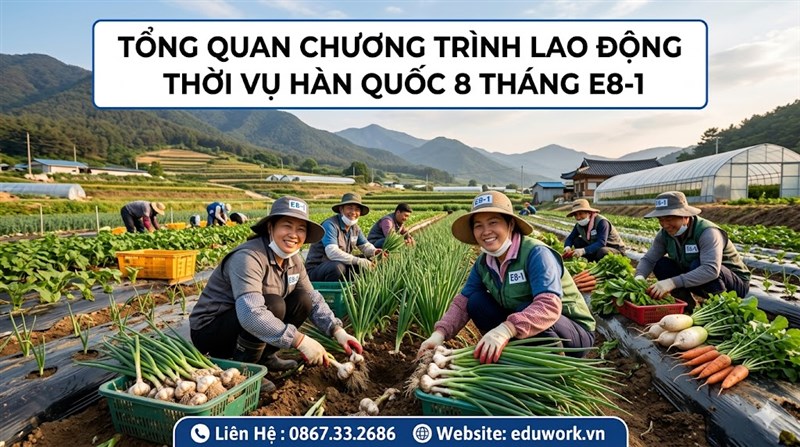 Tổng Quan Chương Trình Lao Động Thời Vụ Hàn Quốc Năm 2026 Visa E8 Từ A-Z
