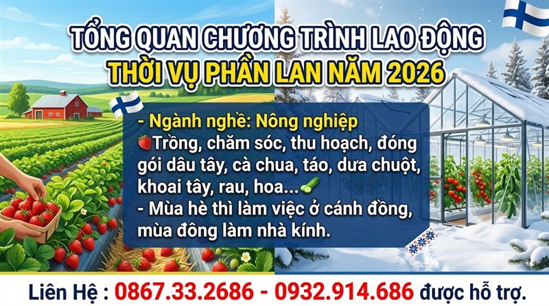Tổng Quan Chương Trình Lao Động Thời Vụ Phần Lan Từ A - Z Ban Nên Biết 